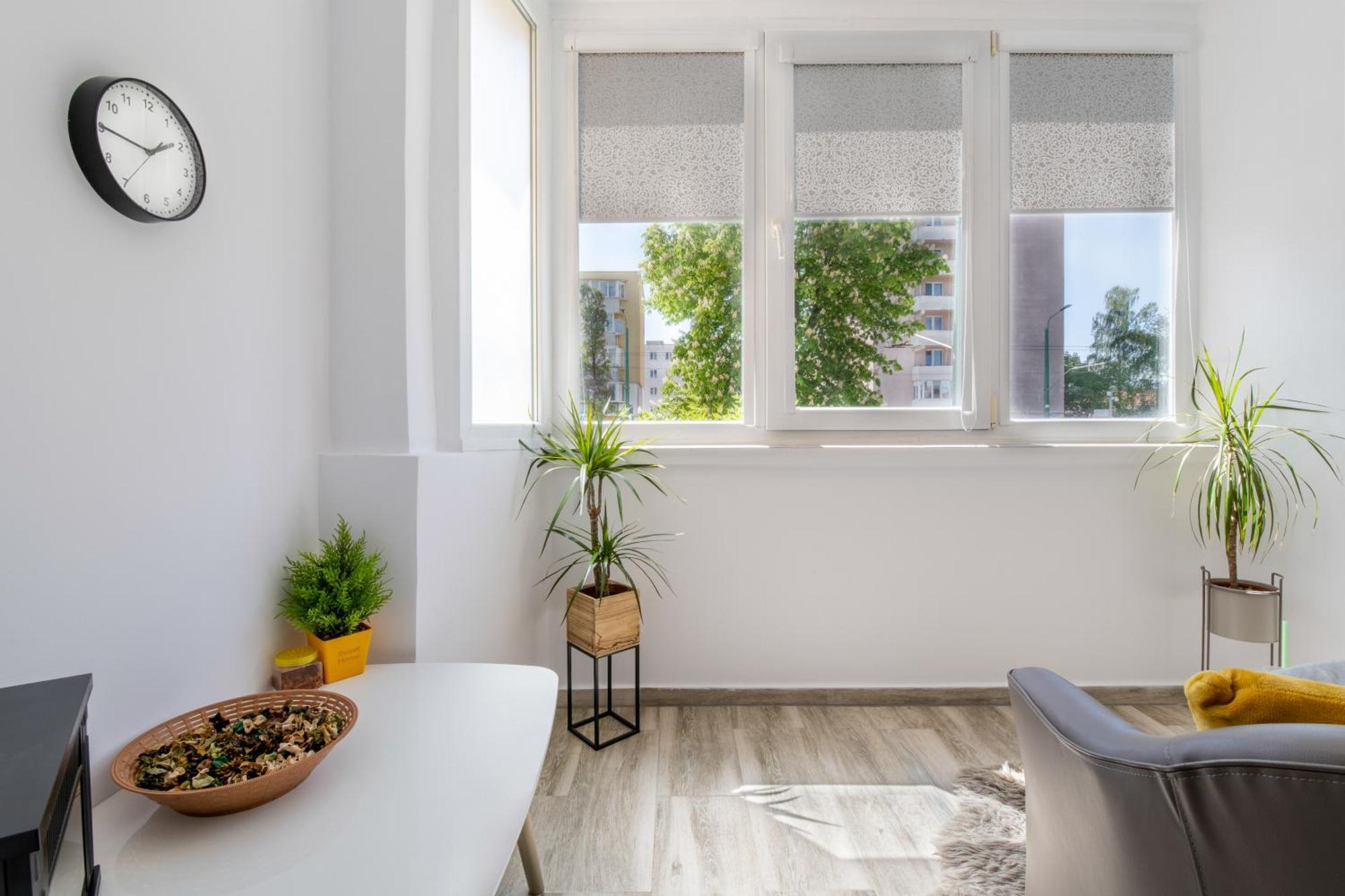 Springhome - Cozy Apartment With Balcony & Parking براشوف المظهر الخارجي الصورة